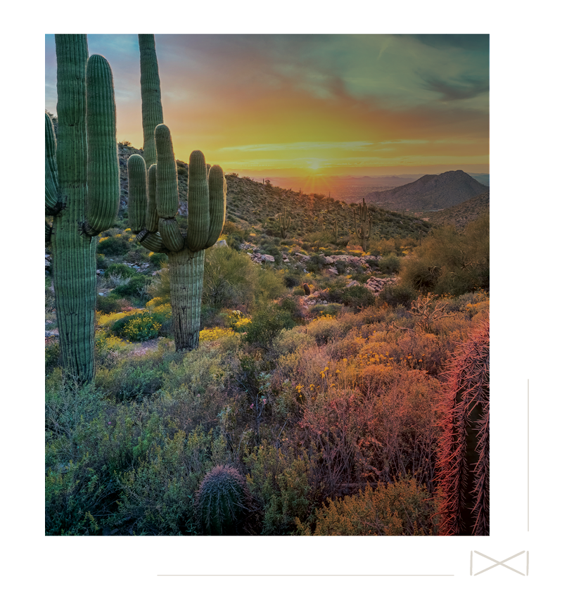 25-INB-0152-Website-INBH5-4